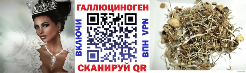 Купить  Острогожск  Псилоцибиновые грибы GOLDEN TEACHER 